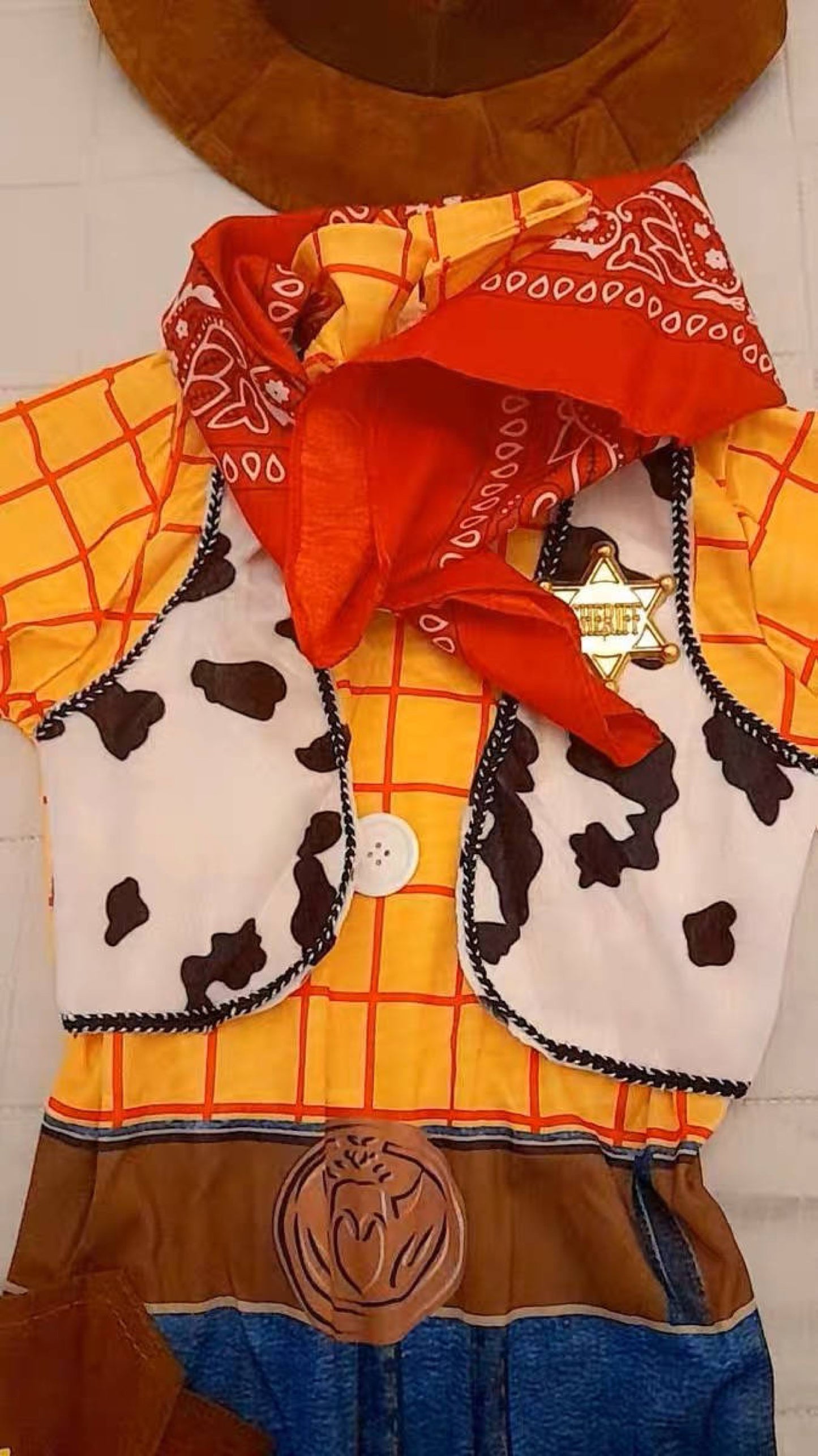 Woody Toy Story Costume