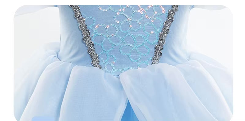 Princess Cinderella Dress