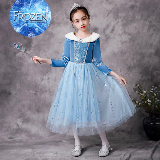 Princess Elsa Winter Dress
