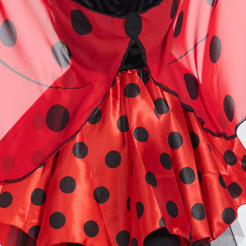 Ladybug Costume
