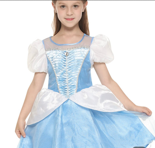 Princess Cinderella Dress