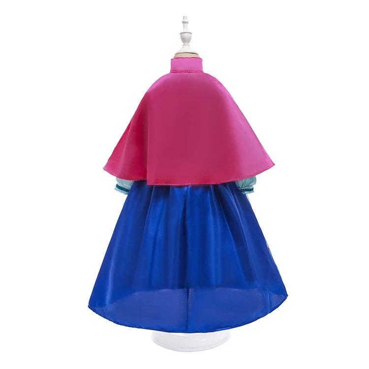 Princess Anna Costume