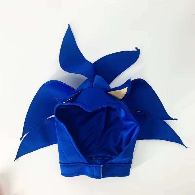 Sonic Costume