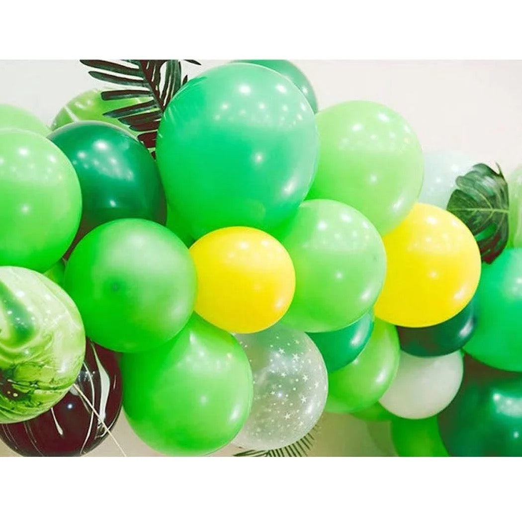 Dinosaur Birthday Set