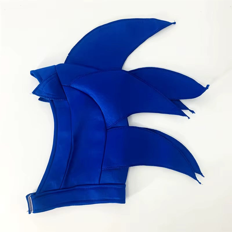 Sonic Costume