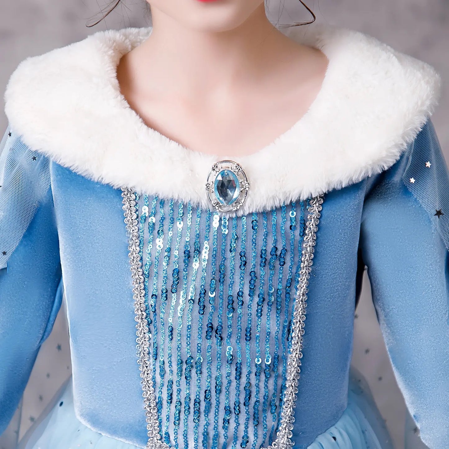 Princess Elsa Winter Dress