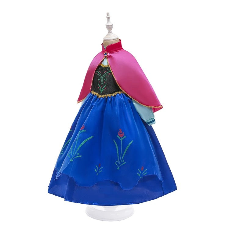 Princess Anna Costume