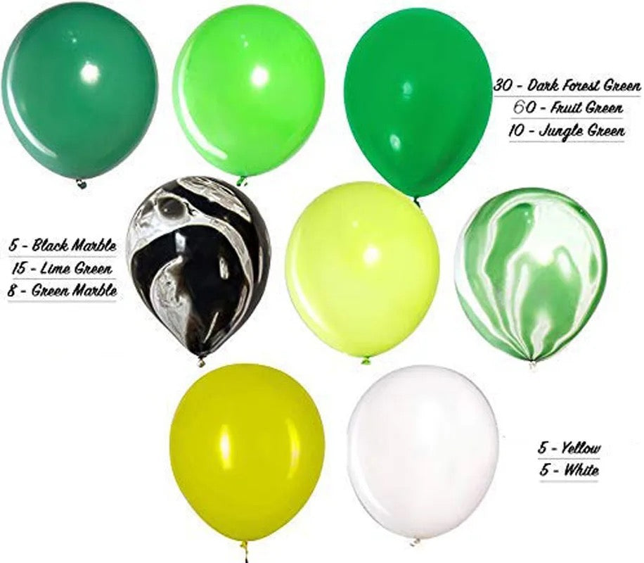 Dinosaur Birthday Set
