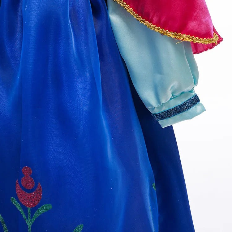 Princess Anna Costume