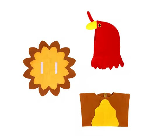 Turkey Costume