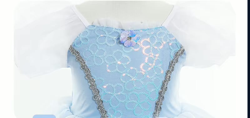 Princess Cinderella Dress