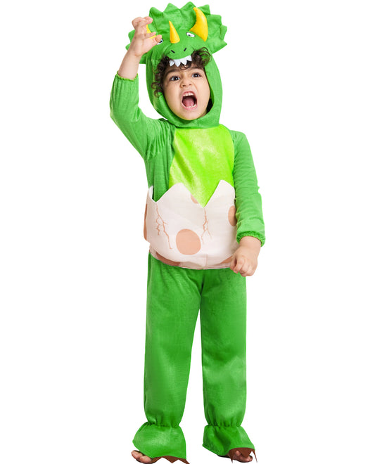 Triceratops Dinosaur Costume
