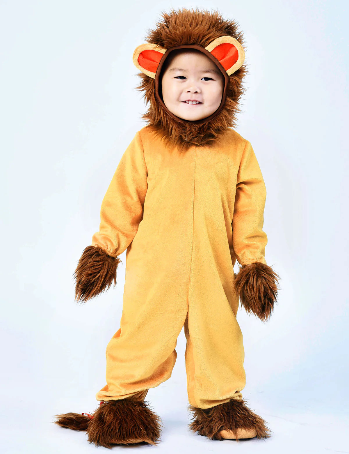 Baby Lion Costume