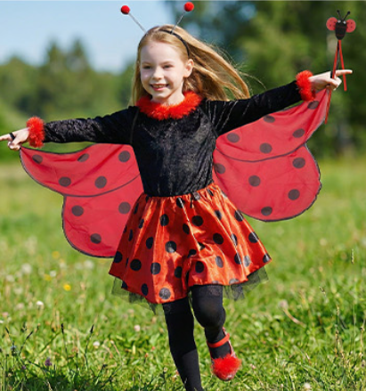 Ladybug Costume