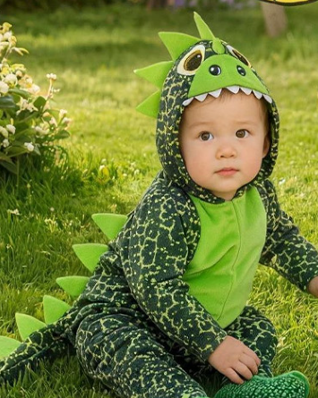 Dinosaur Costume